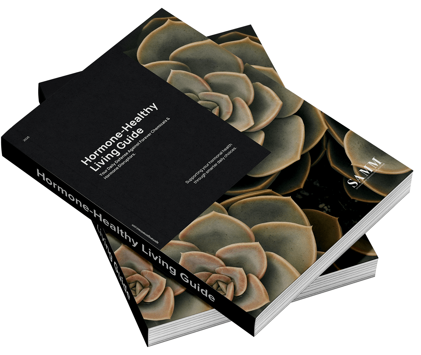 eBook